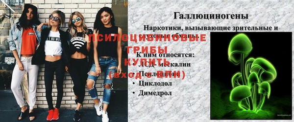 apvp Белокуриха