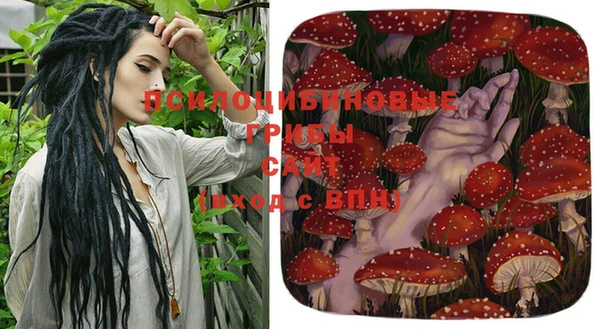 apvp Белокуриха