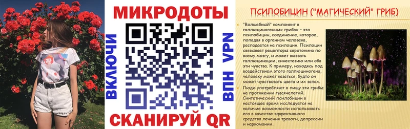 Псилоцибиновые грибы Psilocybine cubensis MEGA как войти Городовиковск