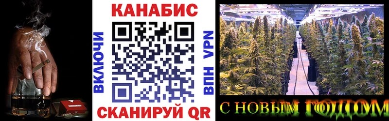Каннабис тримм  darknet официальный сайт  Городовиковск 